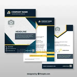 Company Profiles