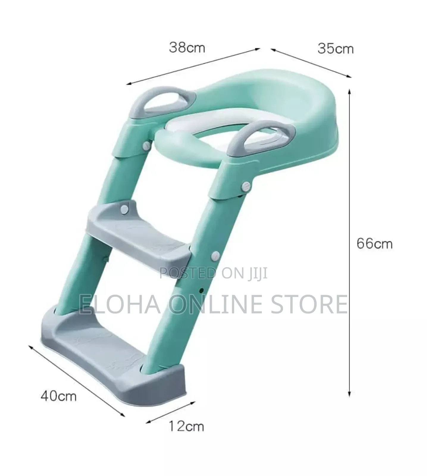 Cute Potty Training Seat With a Ladder