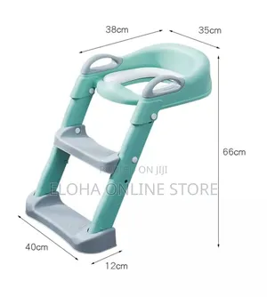 Cute Potty Training Seat With a Ladder