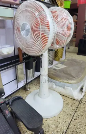 Electric Double Sided Fan
