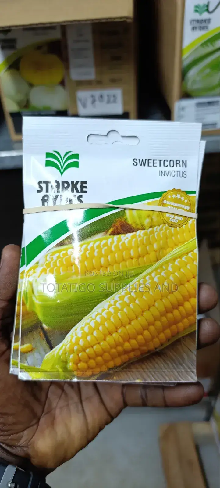 Sweet Corn Seeds-9gm