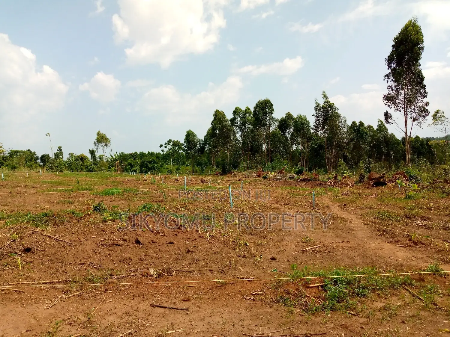 Land For Sale