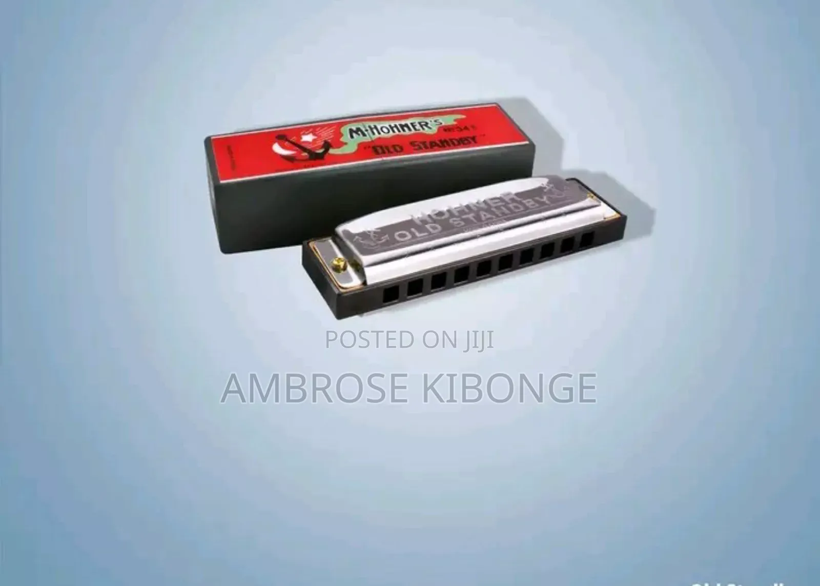 Original Professional Harmonica and Case Clear Sound Quality