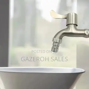 Stainless Steel Wall-Mount Faucet