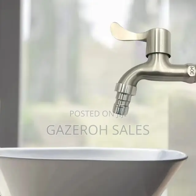 Stainless Steel Wall-Mount Faucet