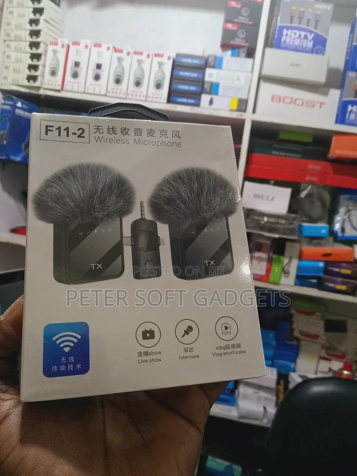 Wireless Microphonef11-2