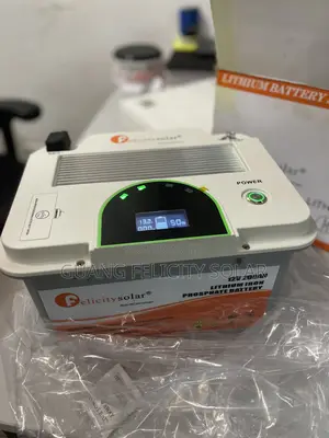 200ah 12v 2.56kwh Felicity Lithium Battery
