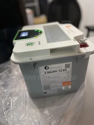 200ah 12v 2.56kwh Felicity Lithium Battery