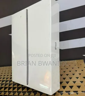 New Apple iPad (2022) 256 GB Gray