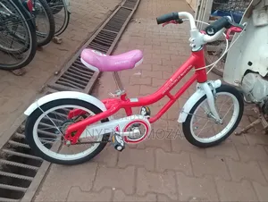 Paul Frank Kids Bike