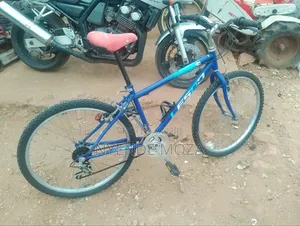 Lespo Bicycle