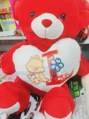 Girls and Ladies Teddybear