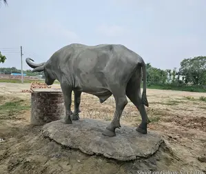 Mbogo_totem