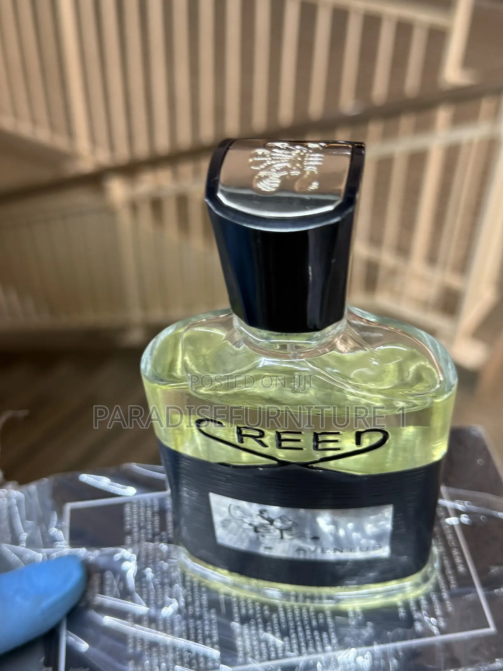 Creed (Aventus)