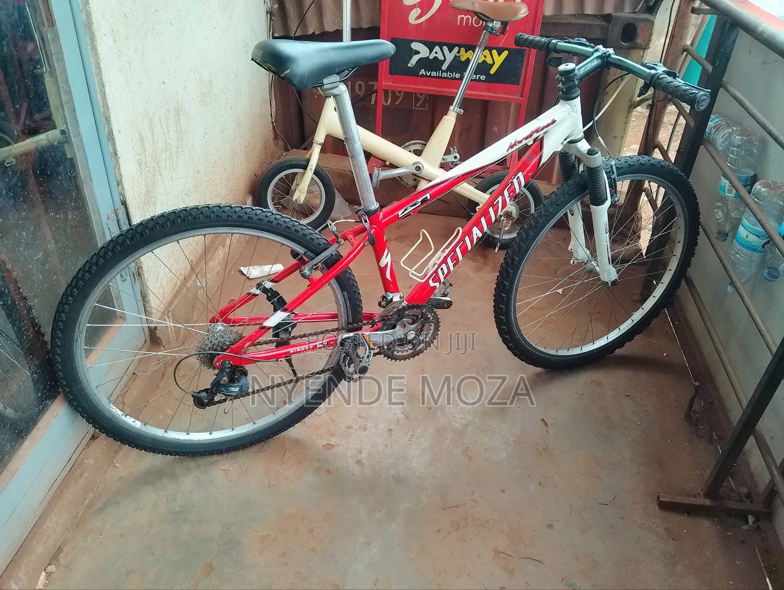 Specialized Adult Bicycle