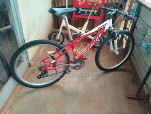 Specialized Adult Bicycle