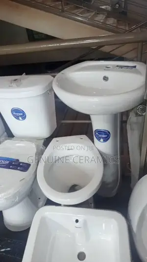 Frencia Toilet and Basin