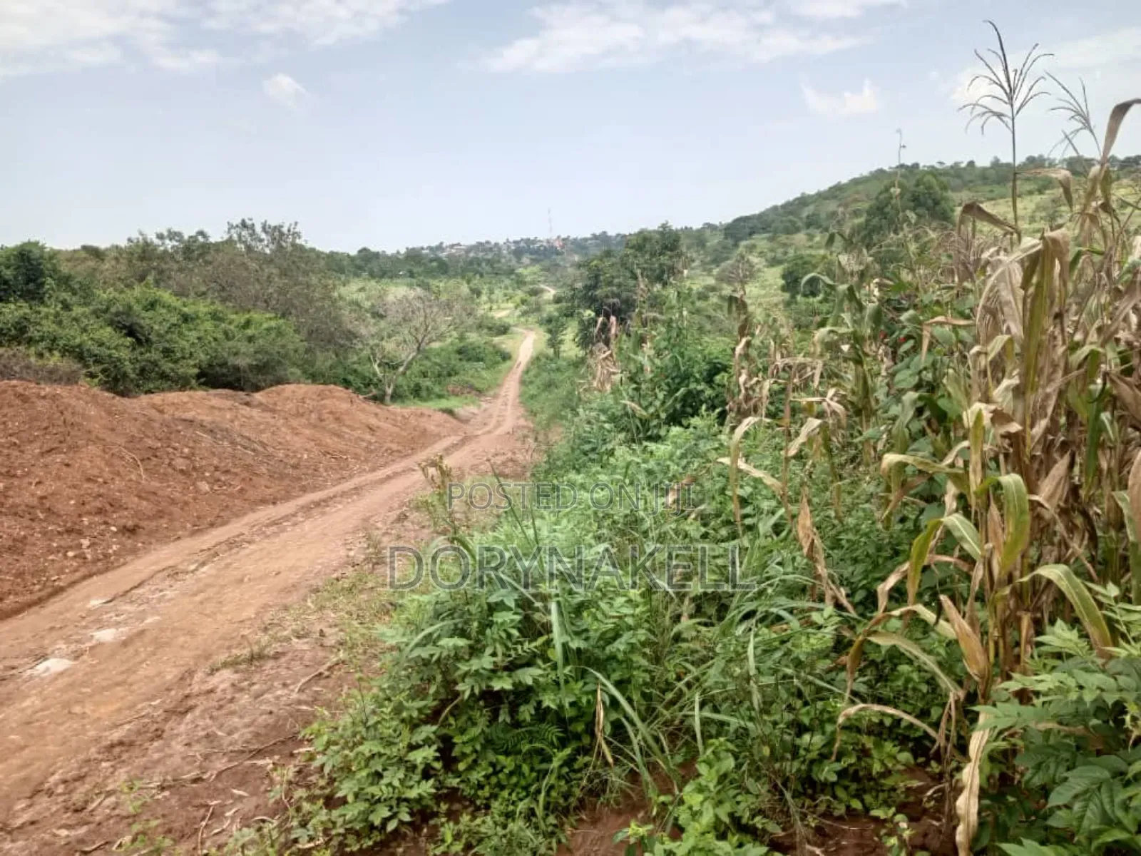 260 Acres in Kassanda,At 13m Each