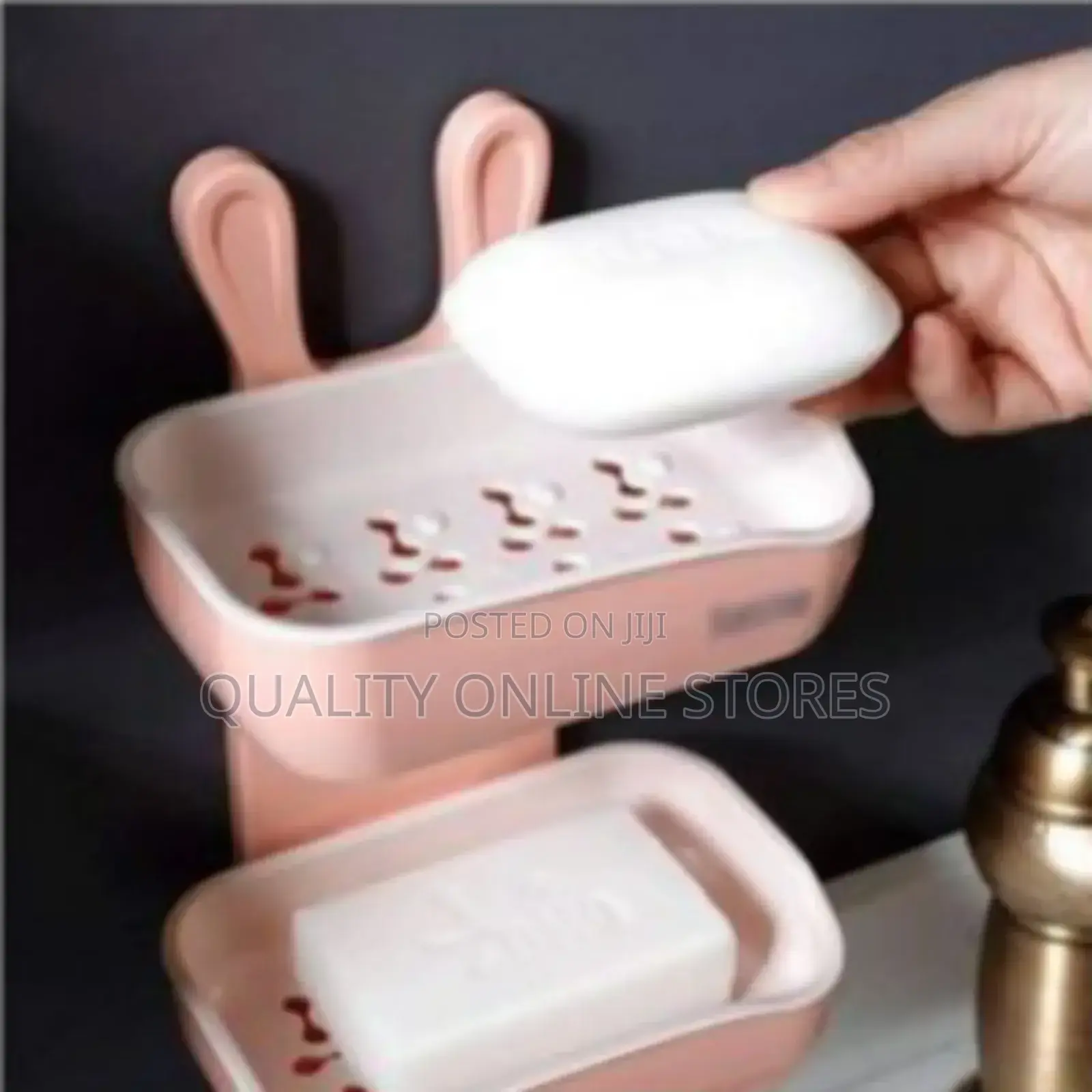 Mounted Soap Holder