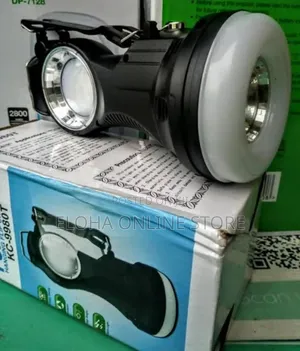 Portable Hanging Flip One Lamp