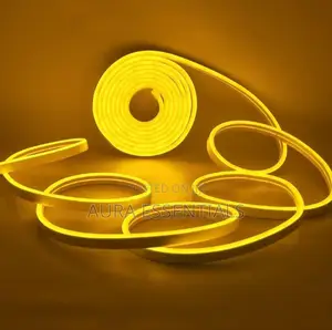 5m Flexible Waterproof Indoor/Outdoor Neon Led Strip
