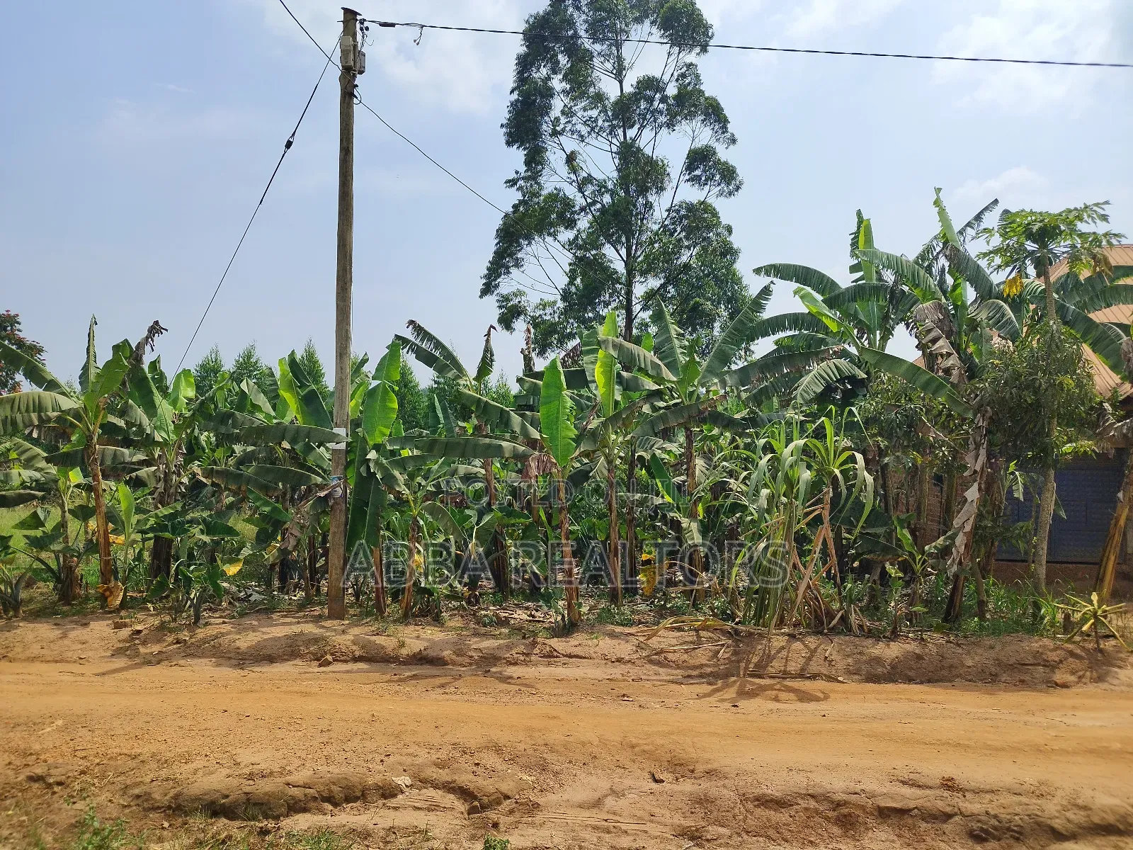 50*100ft Plot in Bujjuko Mityana Road