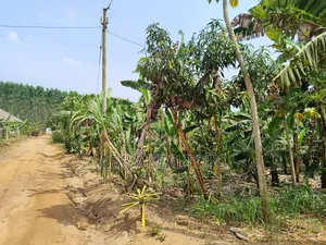 50*100ft Plot in Bujjuko Mityana Road