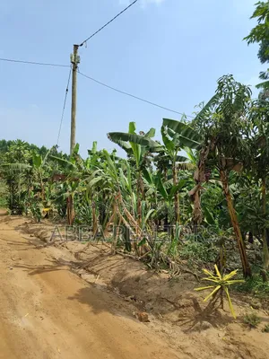 50*100ft Plot in Bujjuko Mityana Road