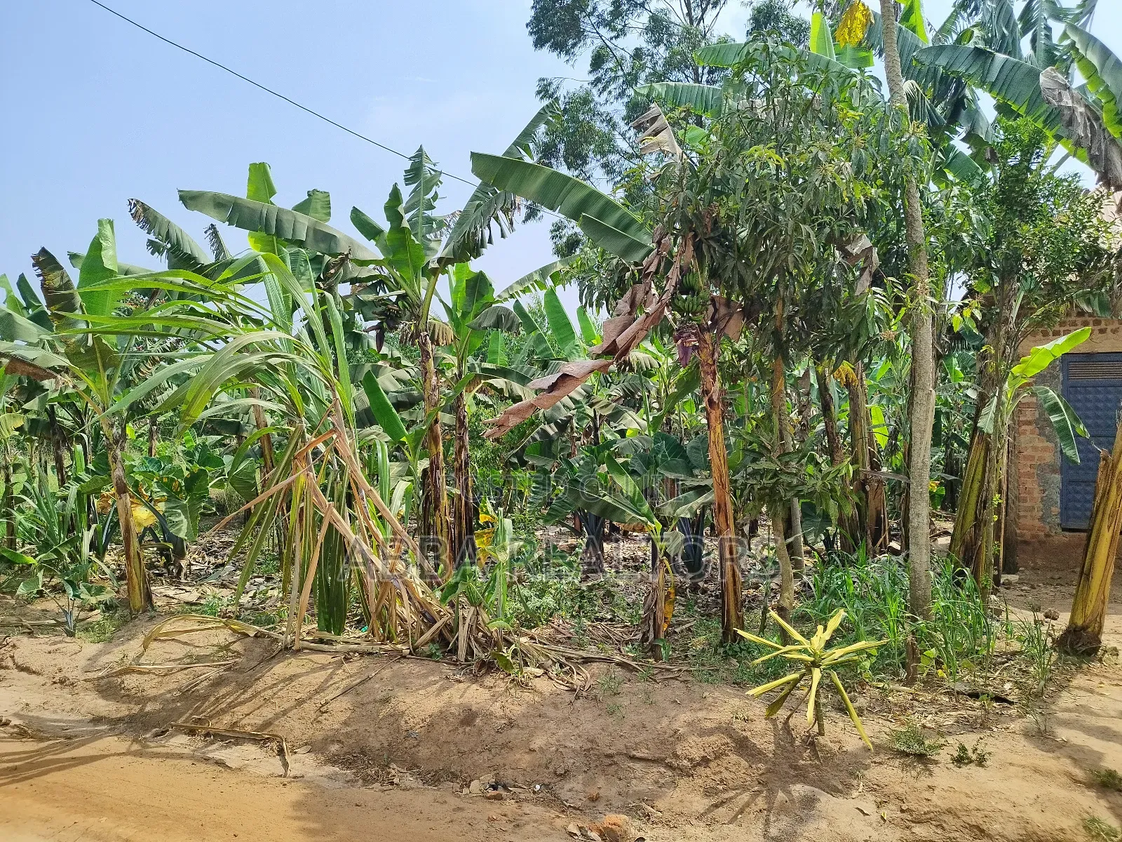 50*100ft Plot in Bujjuko Mityana Road