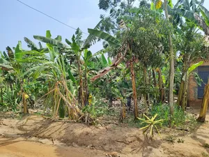 50*100ft Plot in Bujjuko Mityana Road
