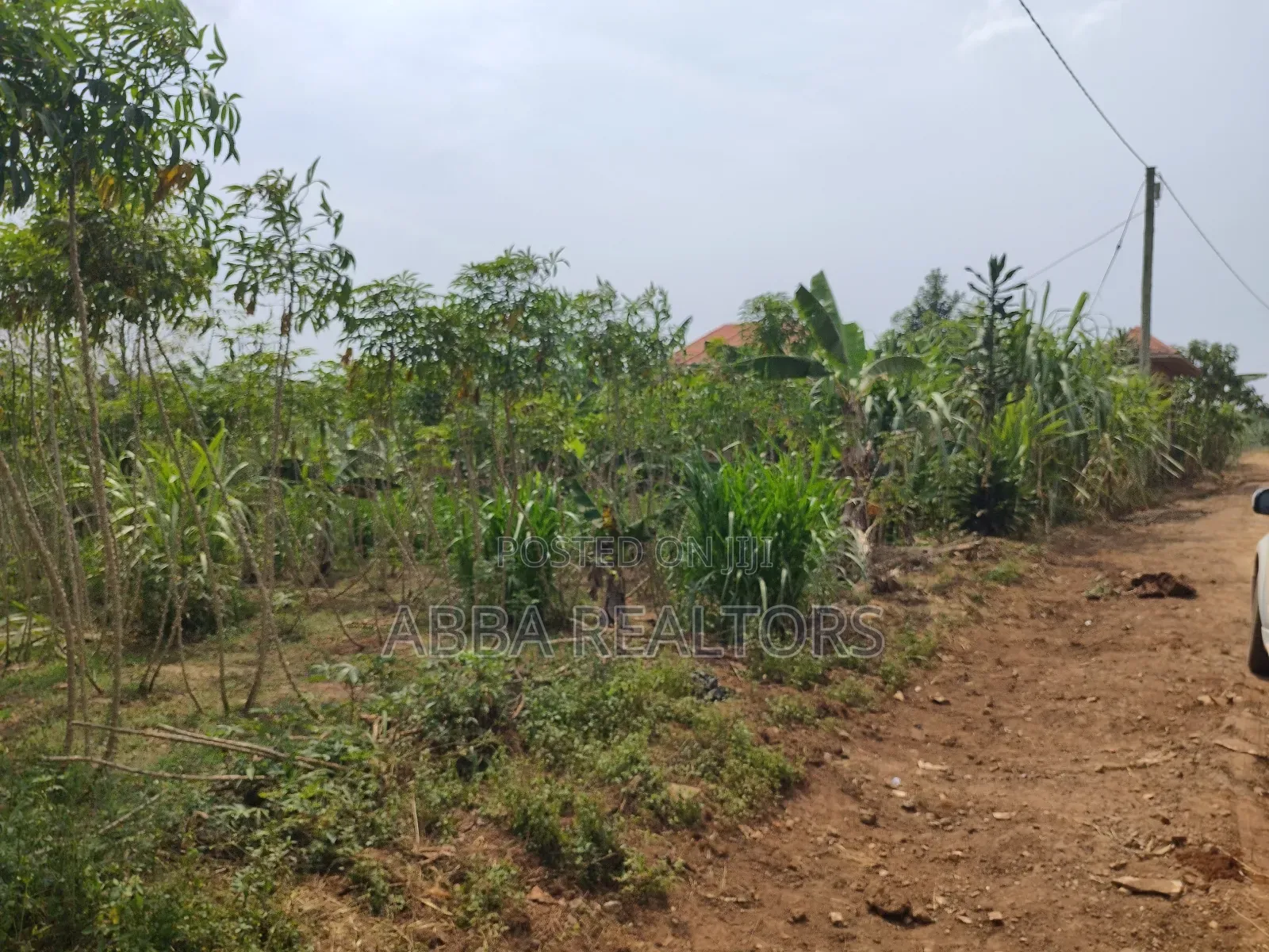 50*100ft Plot in Bujjuko Mityana Road