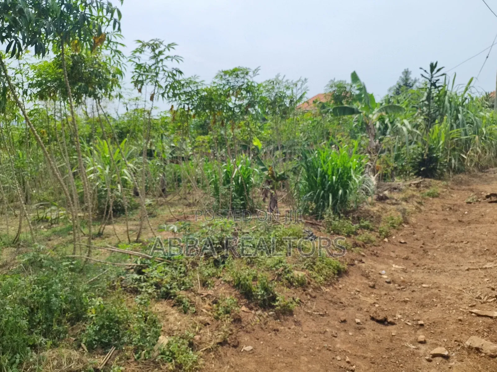 50*100ft Plot in Bujjuko Mityana Road