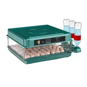 120 Eggs Incubator