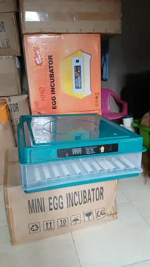 120 Eggs Incubator
