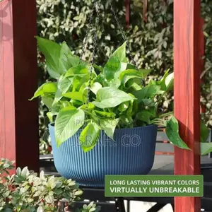 Hanging Plastic Flower Pots Blue
