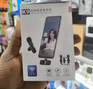 Portable Wireless Microphone