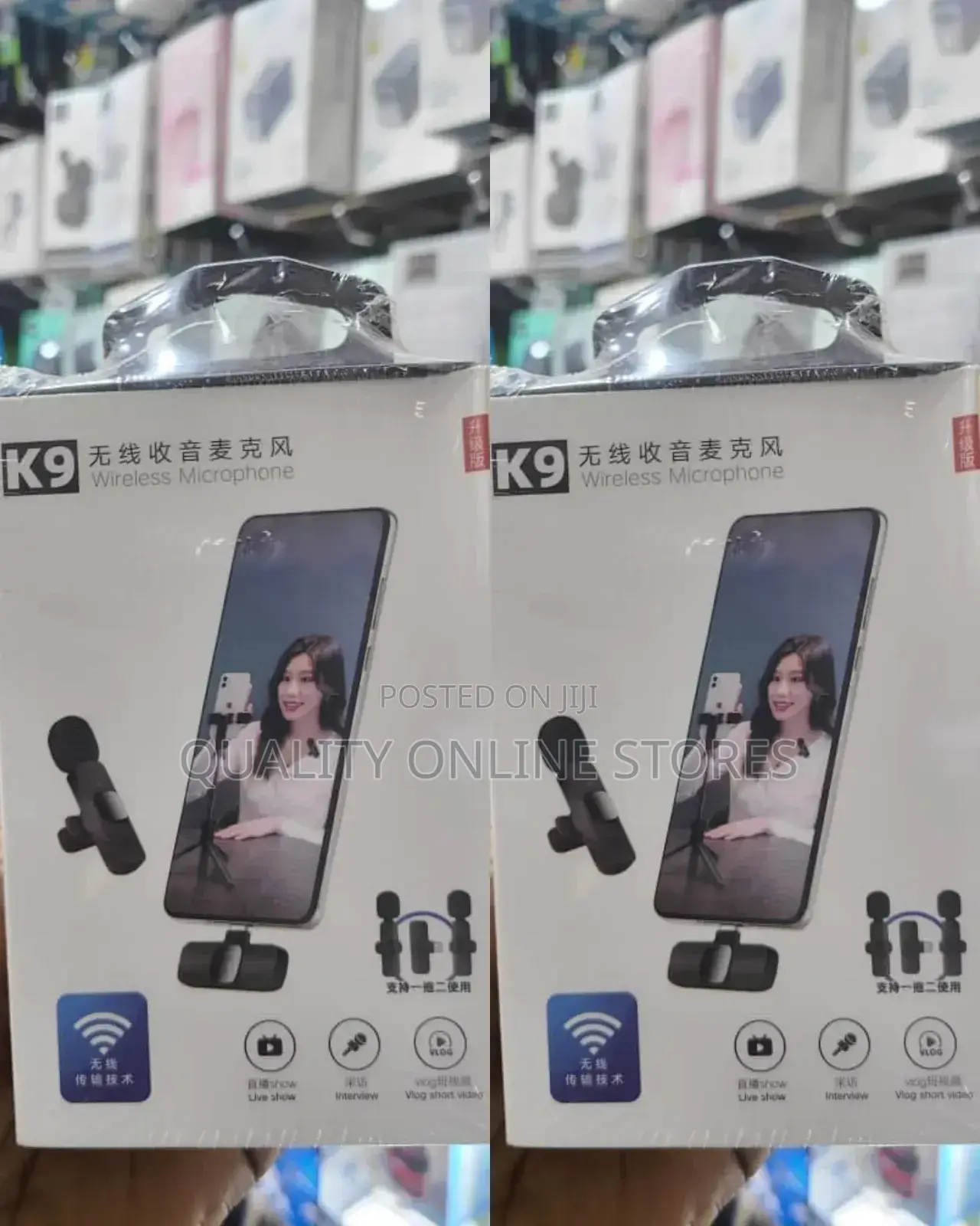 Portable Wireless Microphone