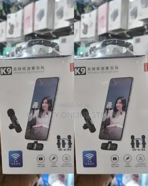 Portable Wireless Microphone