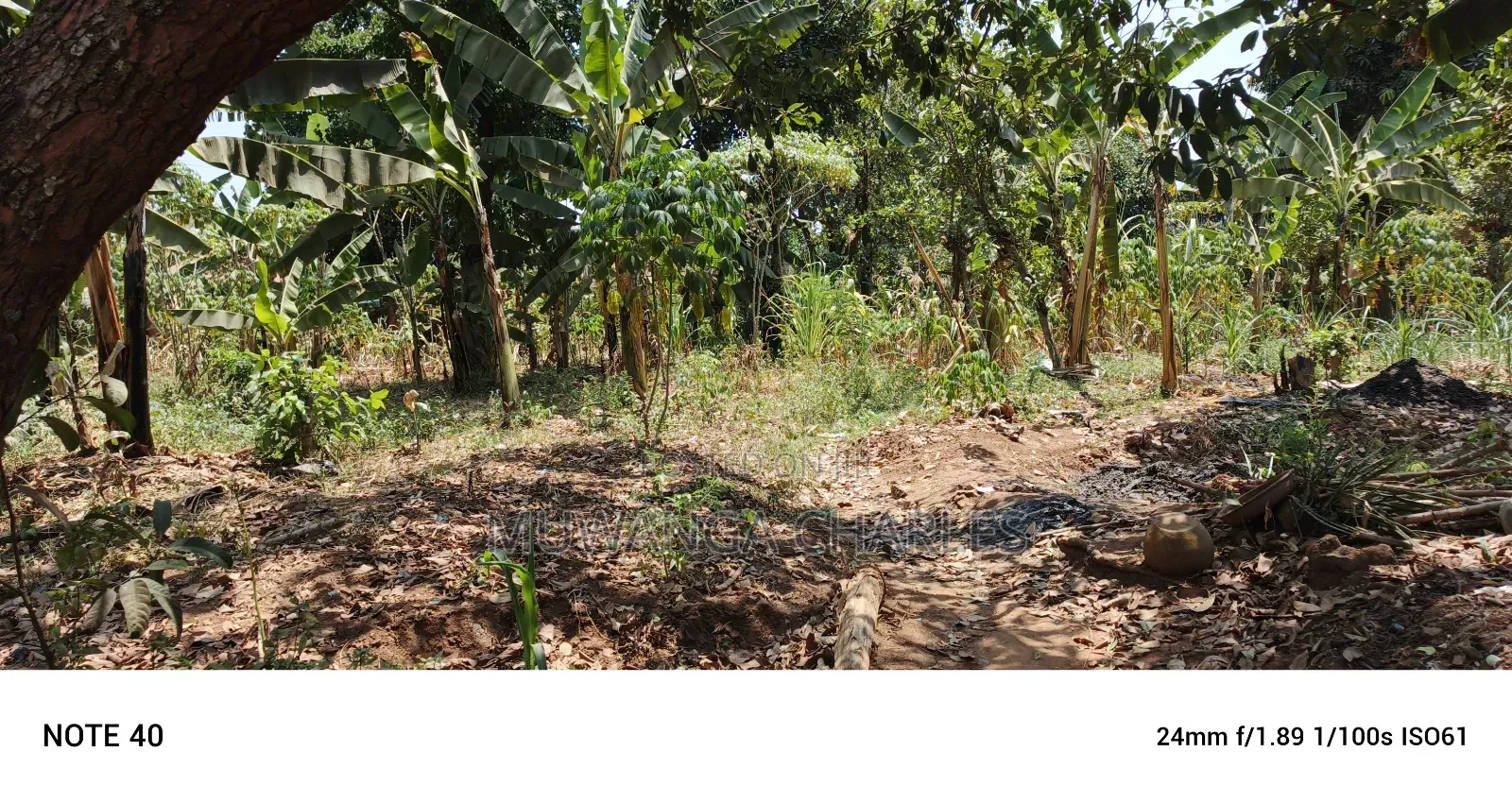 Plot for Sale in Kampala