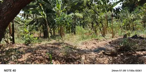 Plot for Sale in Kampala