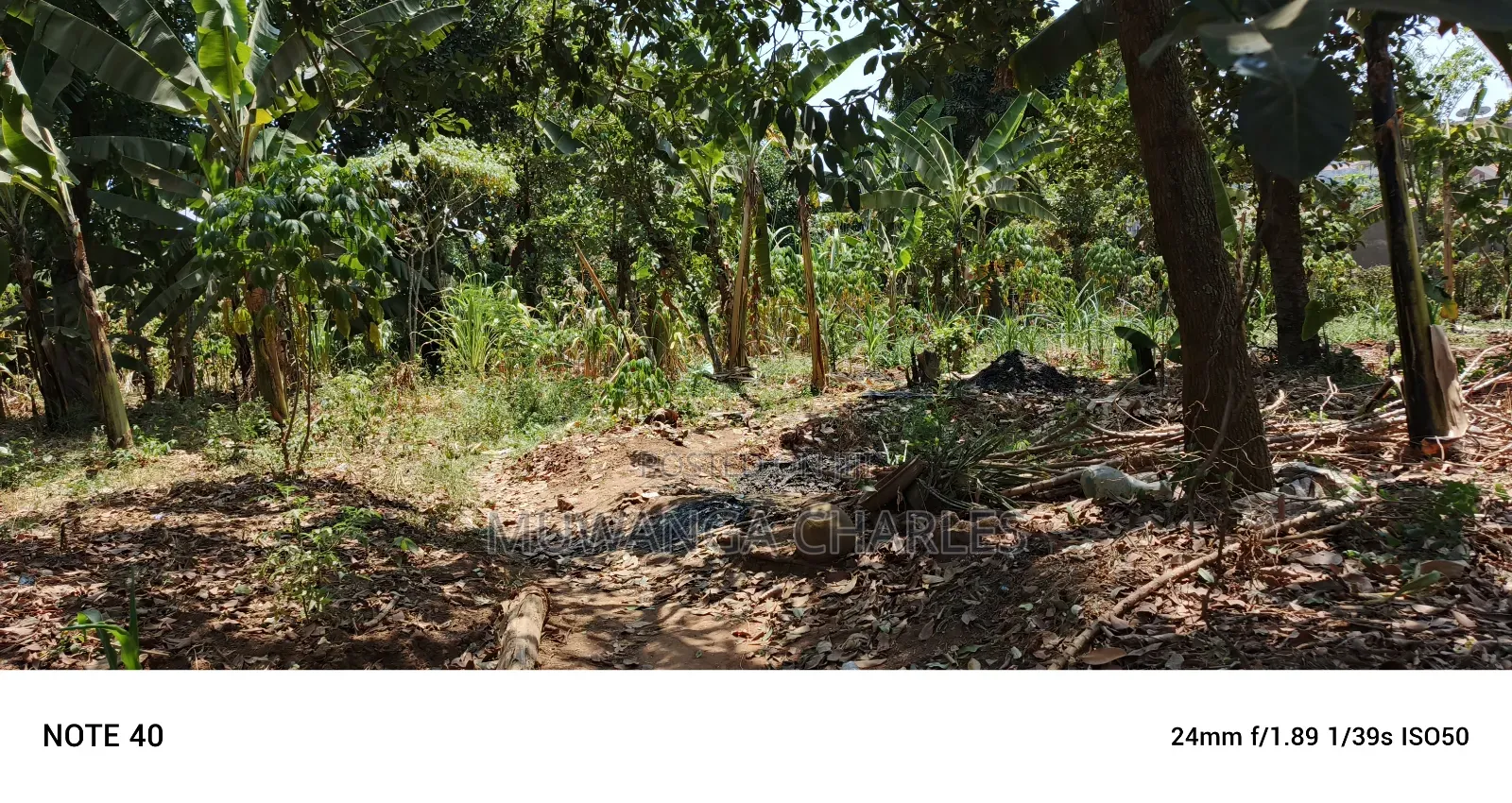 Plot for Sale in Kampala