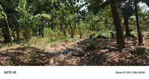 Plot for Sale in Kampala