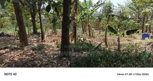 Plot for Sale in Kampala