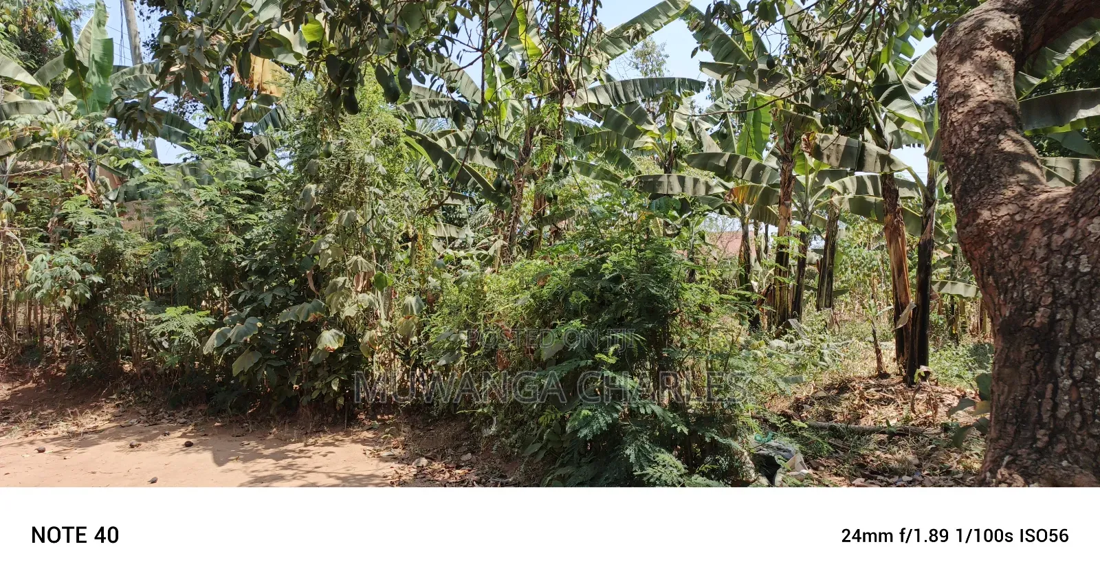 Plot for Sale in Kampala