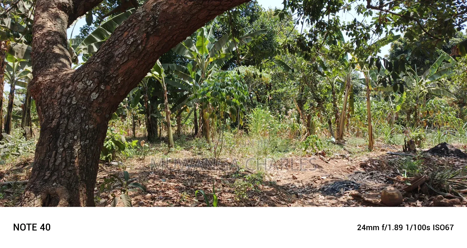 Plot for Sale in Kampala