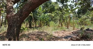 Plot for Sale in Kampala