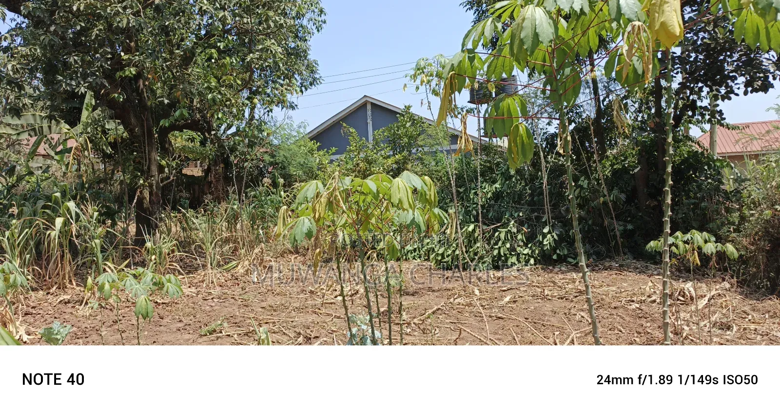 Plot for Sale in Kungu