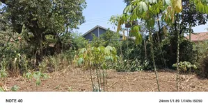 Plot for Sale in Kungu