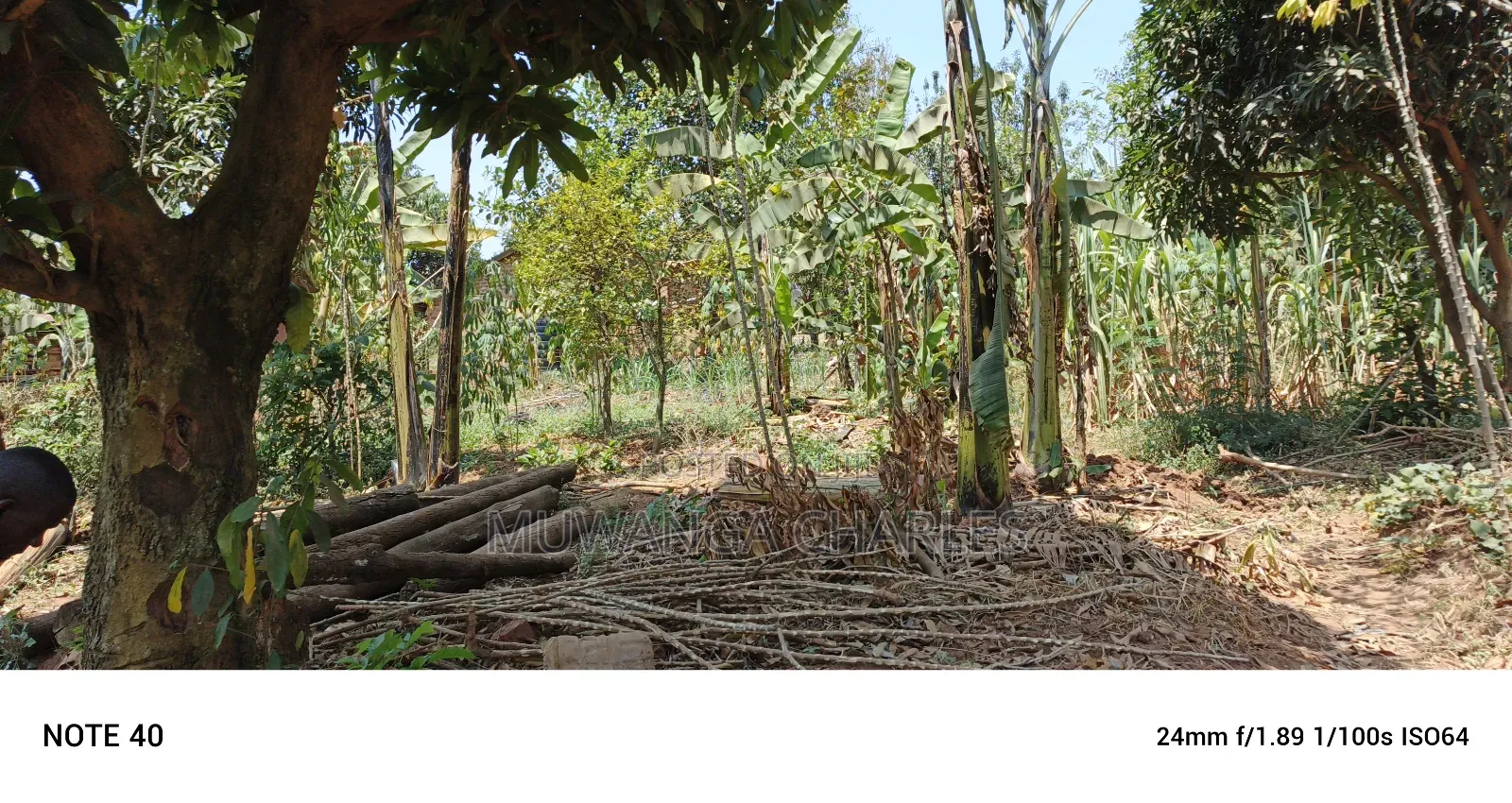 Plot for Sale in Kungu