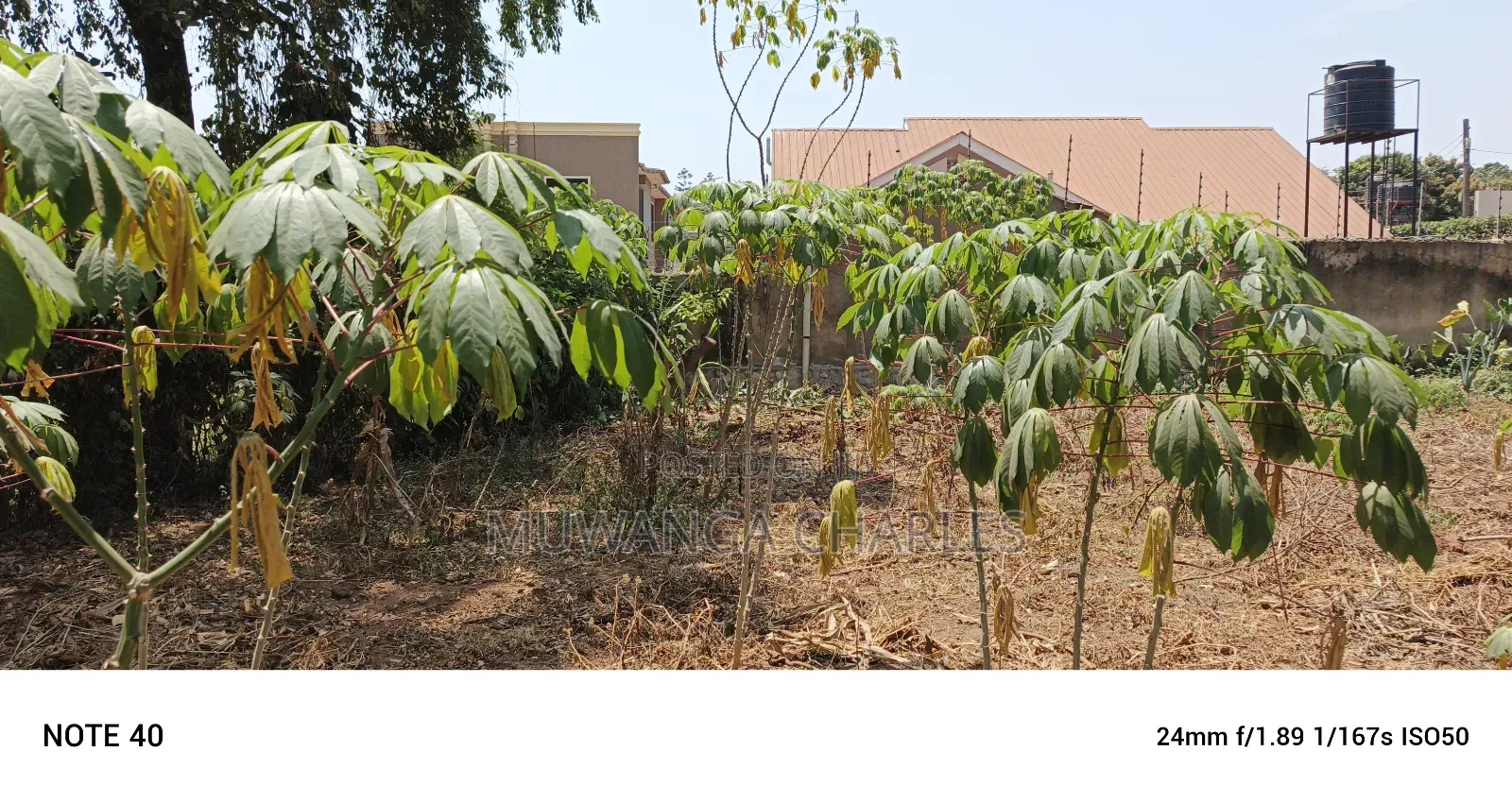 Plot for Sale in Kungu